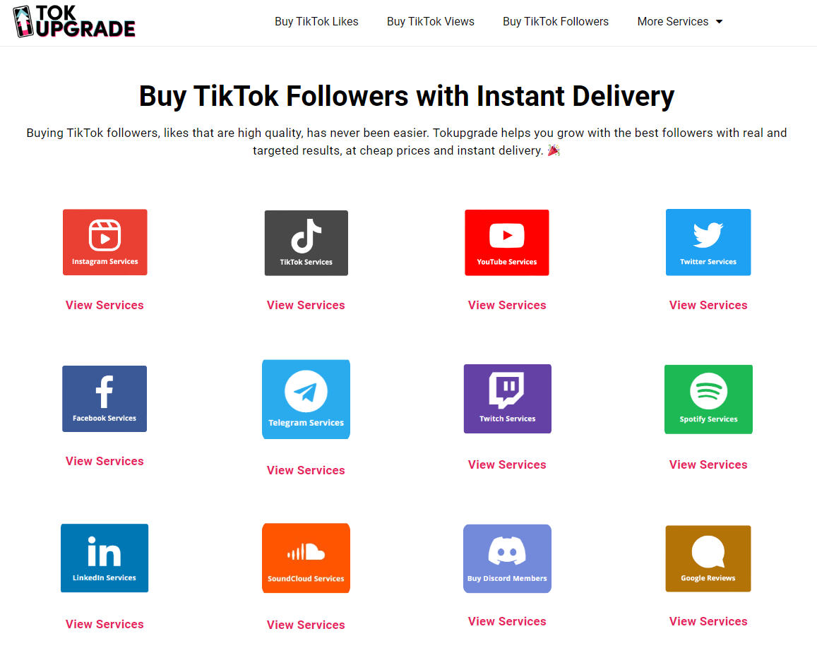 TokUpgrade Instagram Buy Followers website